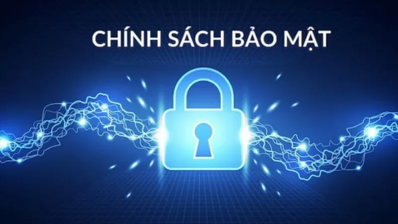 Những quyền lợi và trách nhiệm của cược thủ đối với chính sách 