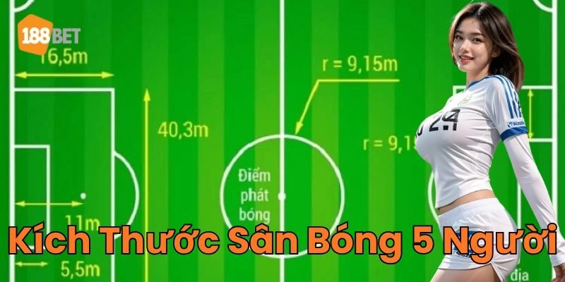 Kích Thước Sân Bóng 5 Người mới nhất 2025