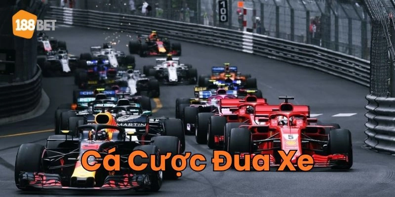 Thông tin quan trọng về Cá Cược Đua Xe