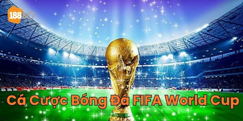 Lưu ý khi soi kèo Cá Cược Bóng Đá FIFA World Cup